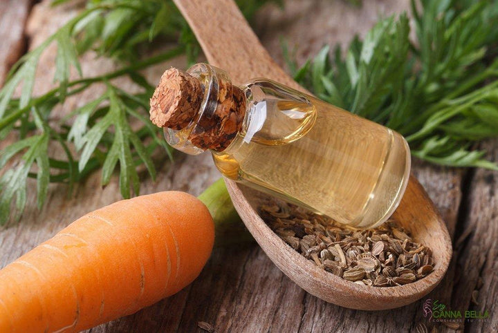 Aceite esencial de semilla de zanahoria: Conoce sus propiedades y usos en la piel - Soy Canna Bella